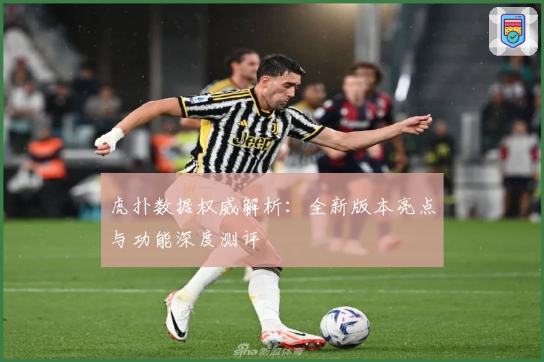 虎扑数据权威解析：全新版本亮点与功能深度测评