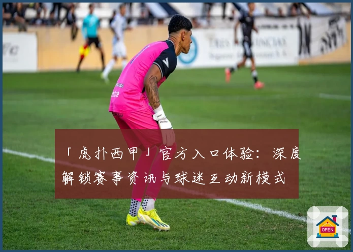 「虎扑西甲」官方入口体验：深度解锁赛事资讯与球迷互动新模式