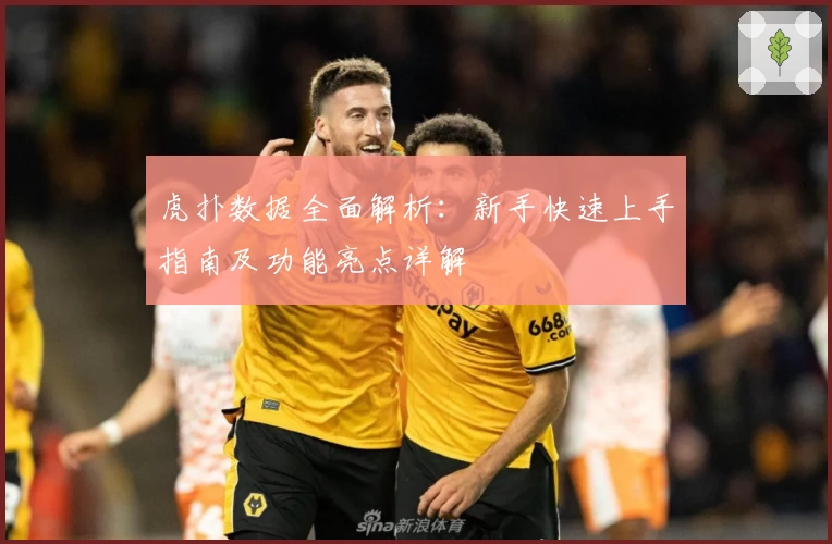 虎扑数据全面解析:新手快速上手指南及功能亮点详解